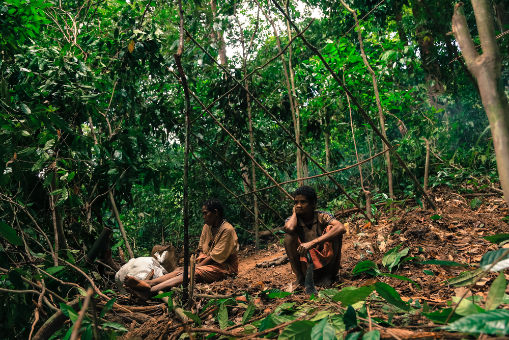 The Negrito, Mani people of Thailand