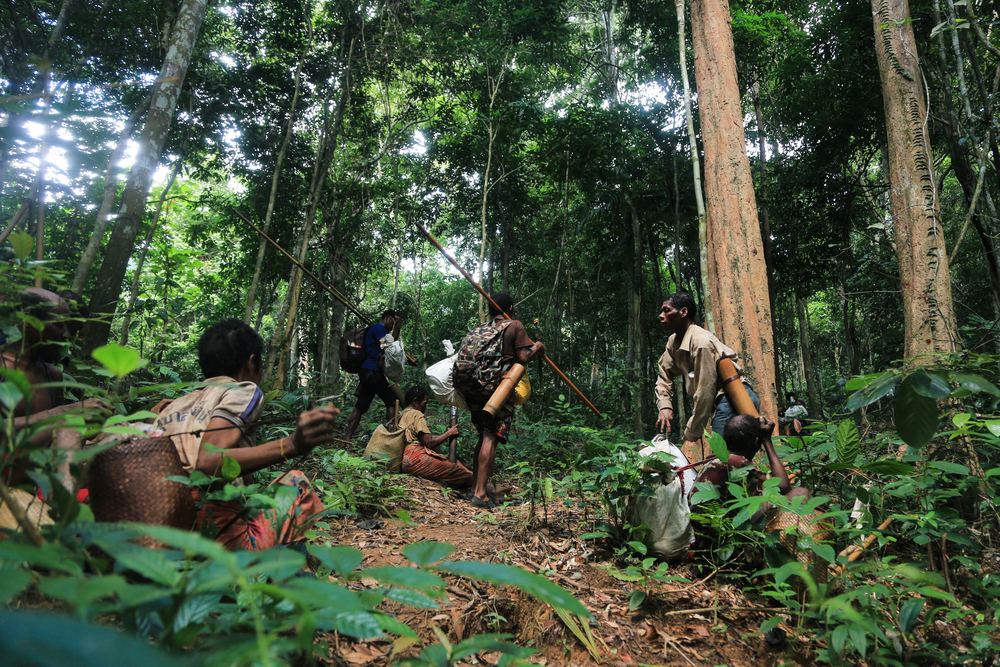 The Negrito, Mani people of Thailand