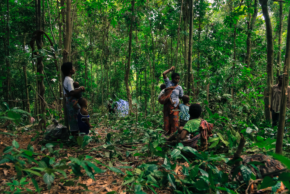 The Negrito, Mani people of Thailand