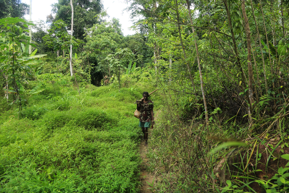 The Negrito, Mani people of Thailand