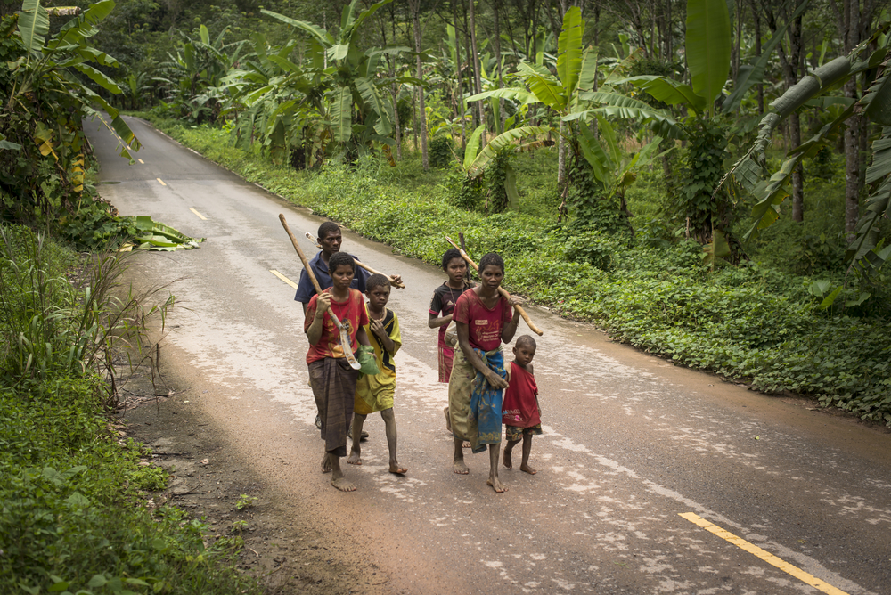 The Negrito, Mani people of Thailand