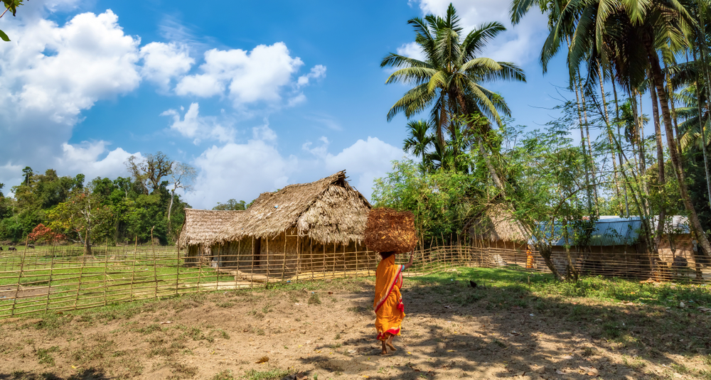 Woman in village in India