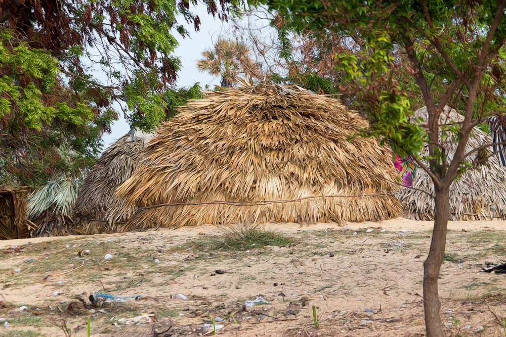 Hut made of leaves