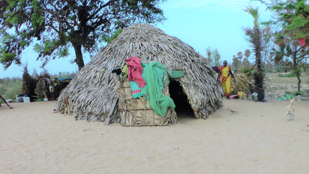 Hut from leaves in India