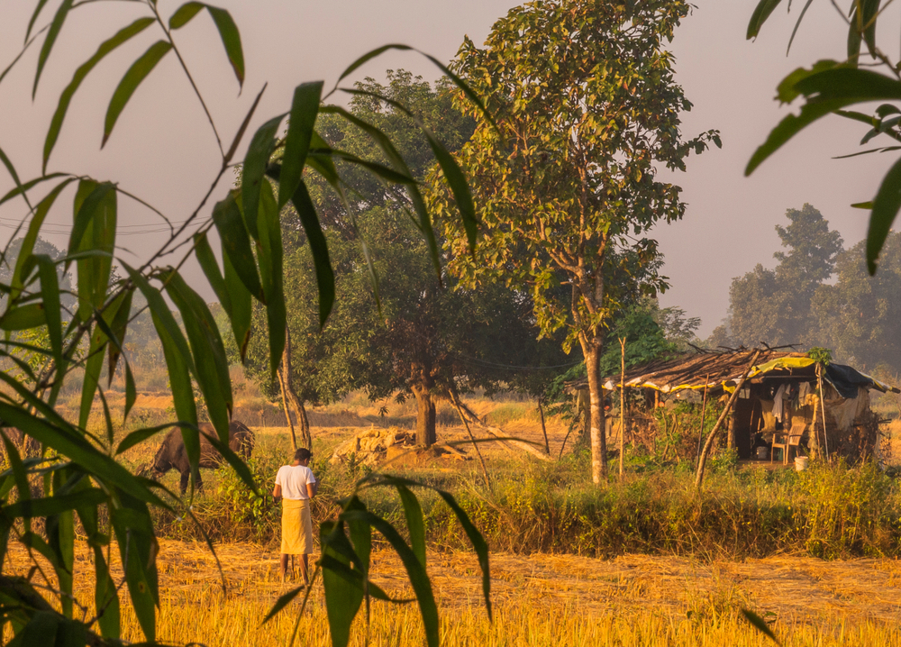 person on a field in India