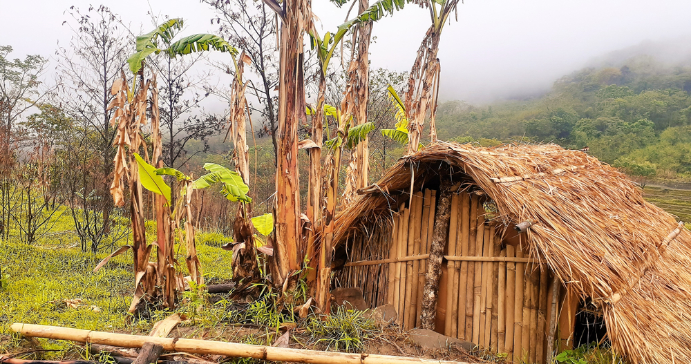 Leaves hut in forest