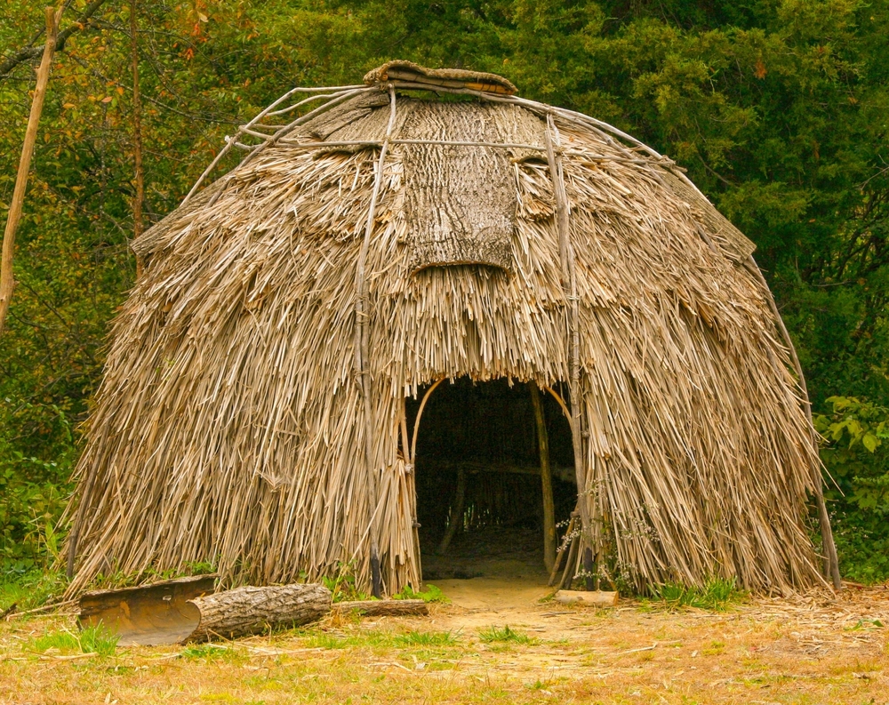 leaf huts in forest