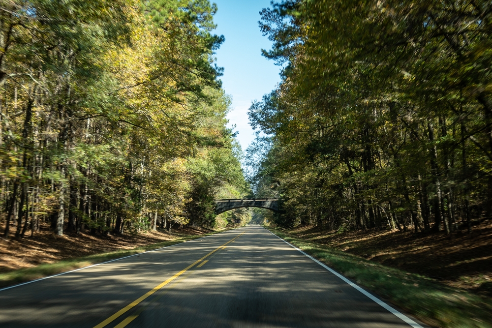 Mississippi: Natchez Trace Parkway