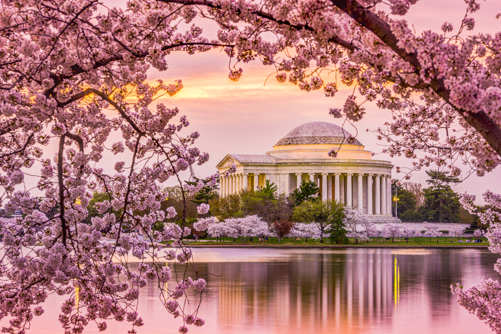 Washington, D.C.: The Tidal Basin