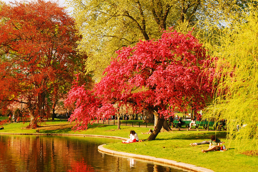Massachusetts: Boston's Public Garden