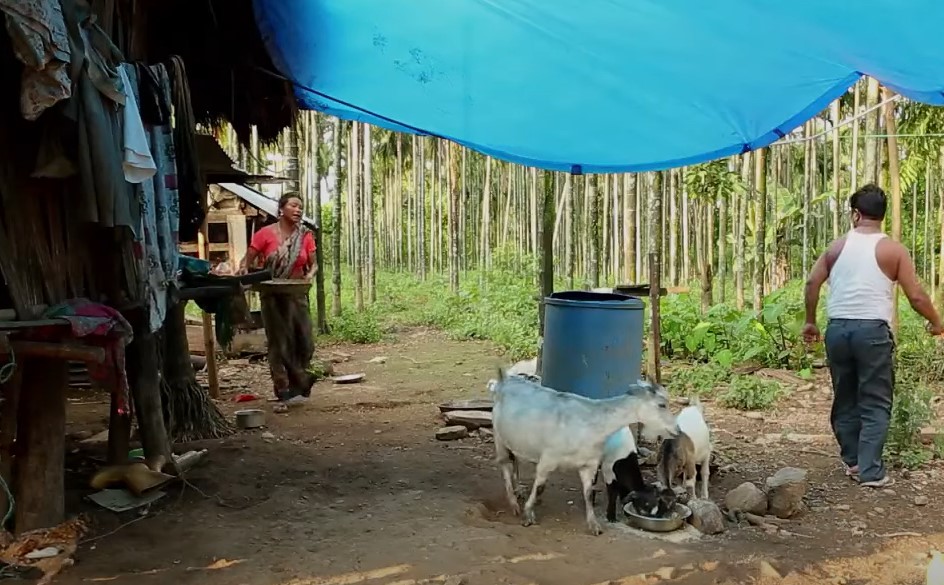 Toto House in forest, male and female toto people