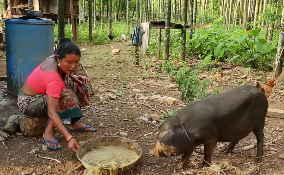 Toto people. Toto woman giving food to animal
