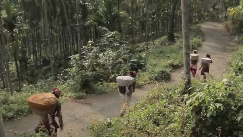 Toto people. Toto people carrying things 