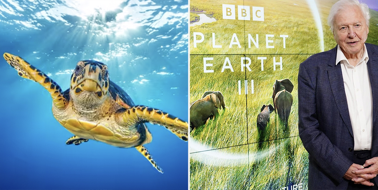 Planet Earth TV Series
