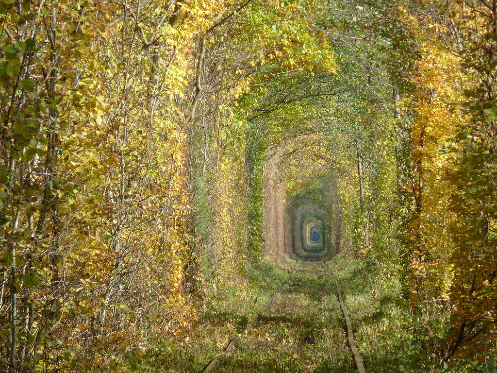 The Tunnel of Love, near Klevan, Rivnenskyi raion