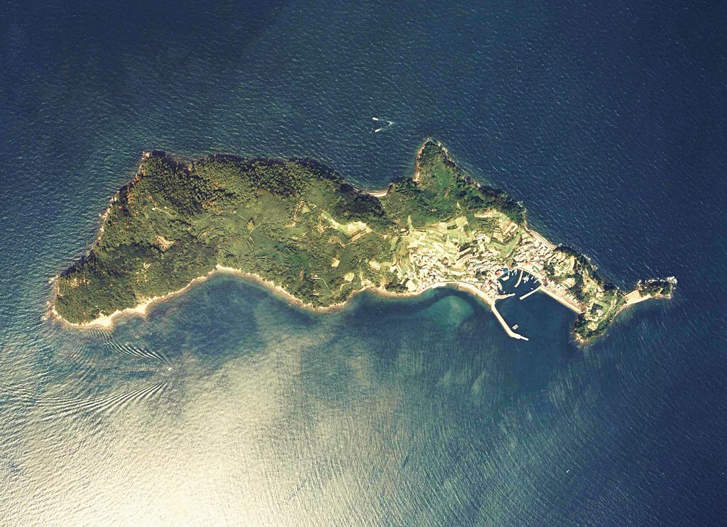 Aerial Photo of Aoshima also known as Cat Island