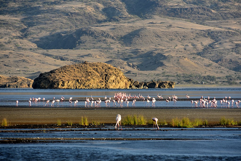 Landscape Photo of Lake Natron with Flamingos in front and mountains in the background
