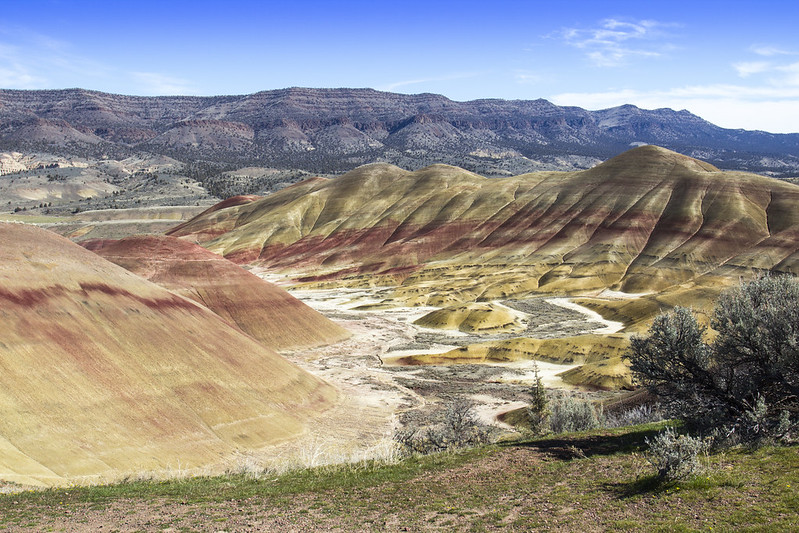 Landscape Photo of The Painted Hills a geologic site in Wheeler County, Oregon