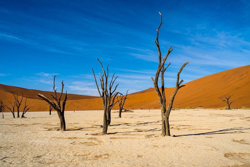 Landscape Photo of Deadvlei a white clay pan located inside the Namib-Naukluft Park