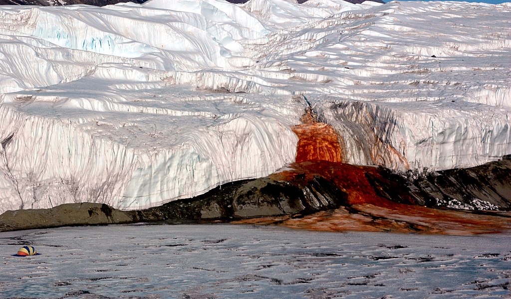 Blood Falls seeps from the end of the Taylor Glacier into Lake Bonney