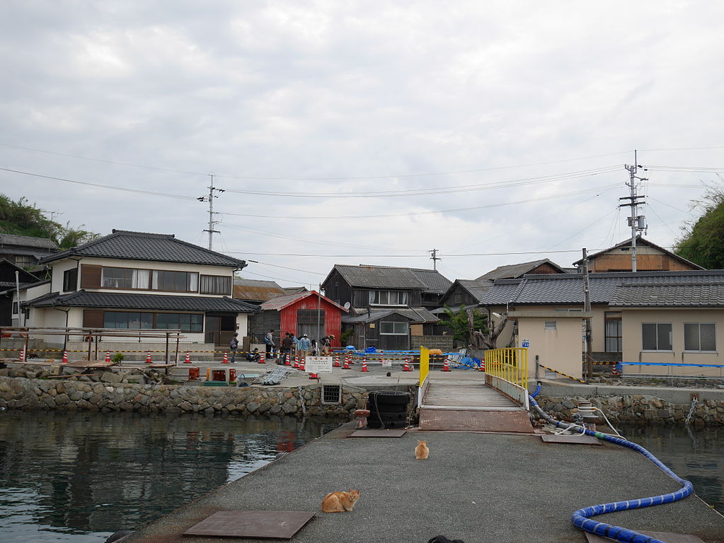 Landscape Photo of Aoshima Islan Port with clody sky in background