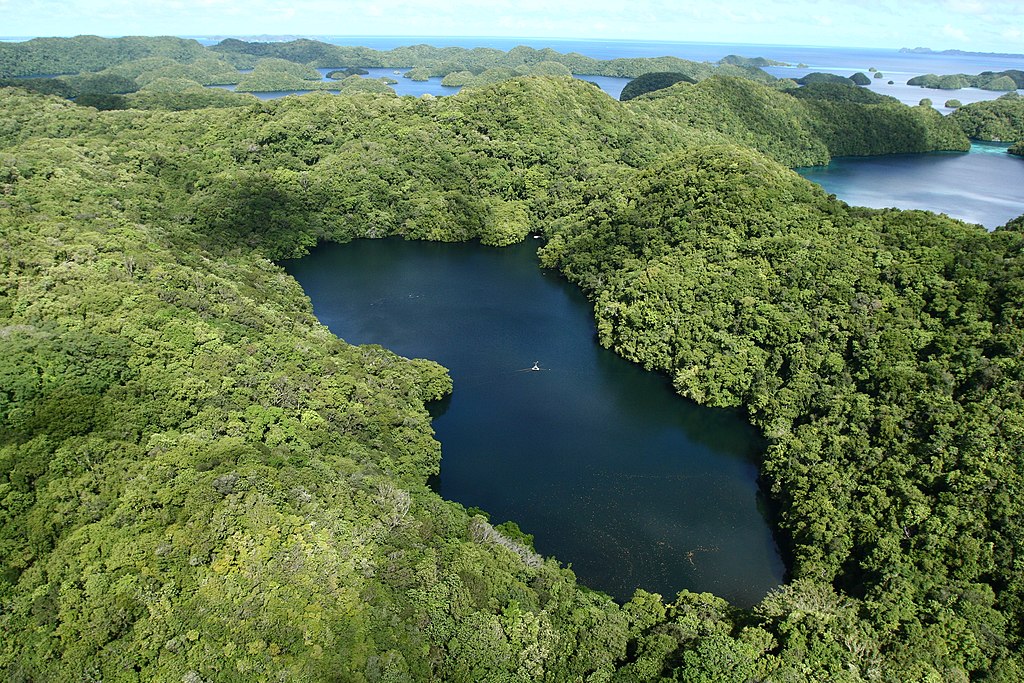 Jellyfish Lake on Eil Malk Island a marine lake located on Eil Malk island in Palau