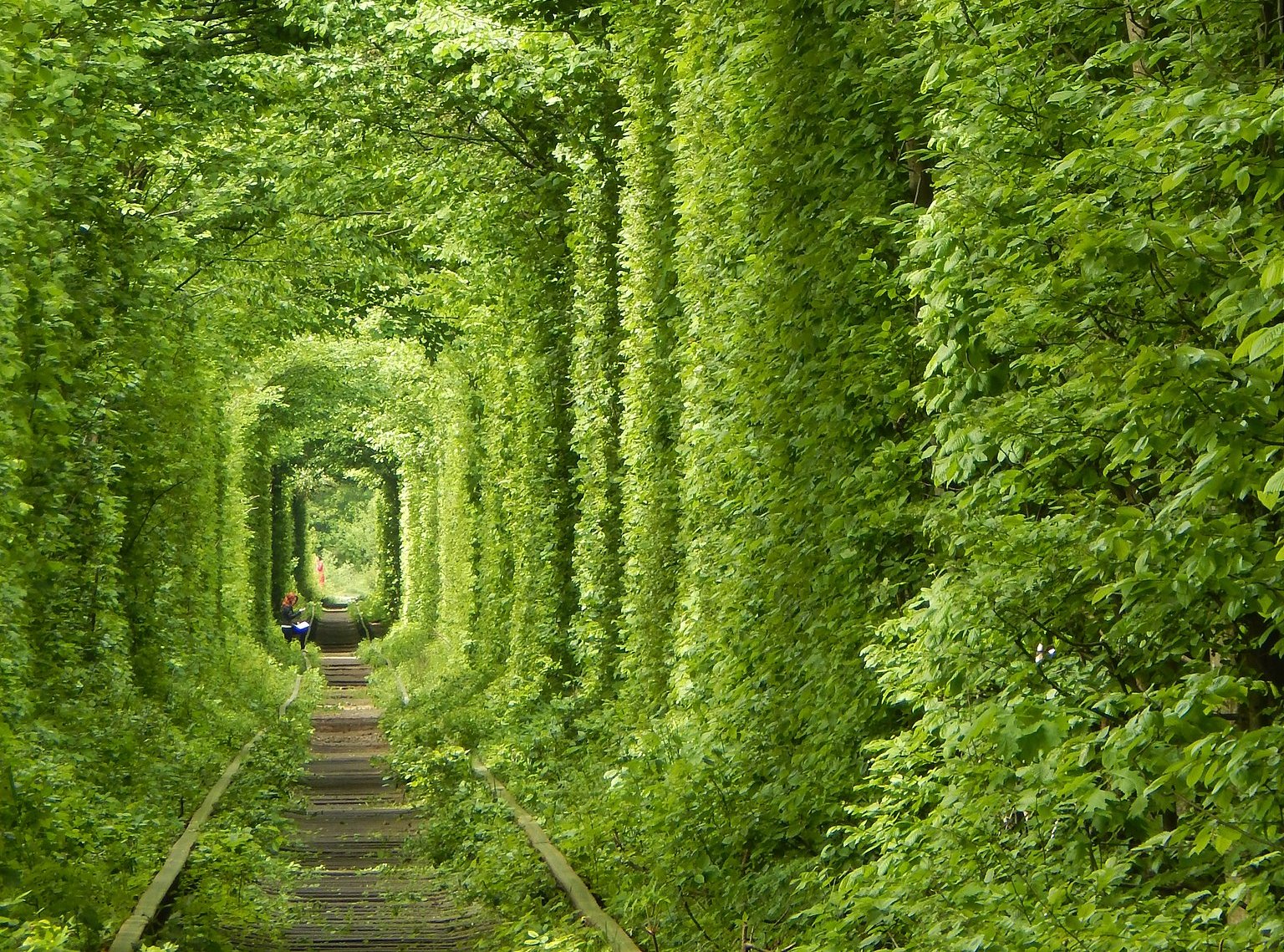 The Tunnel of Love, near Klevan, Rivnenskyi raion