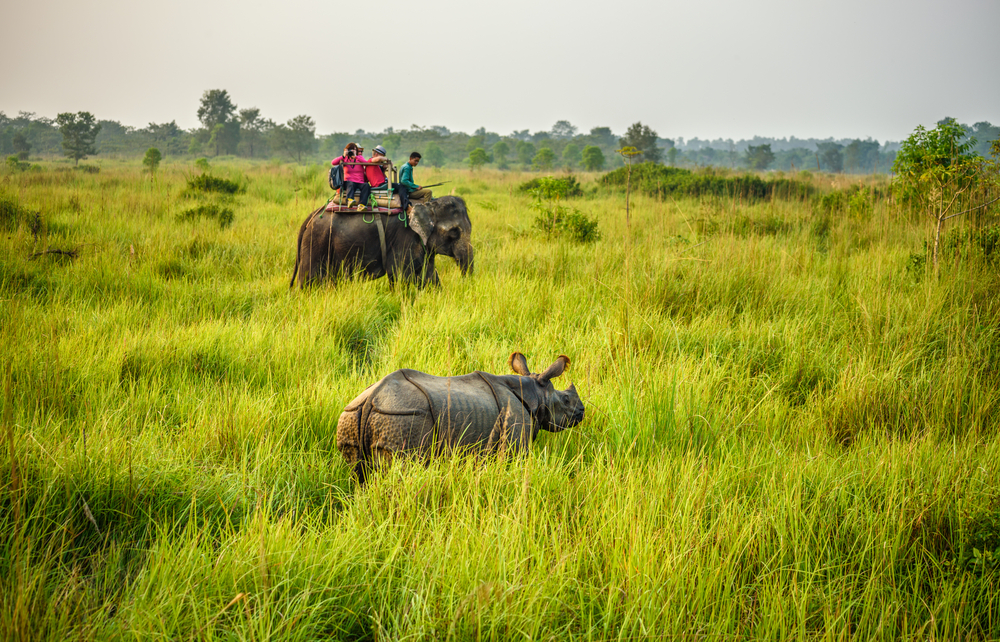 Chitwan National Park Nepal