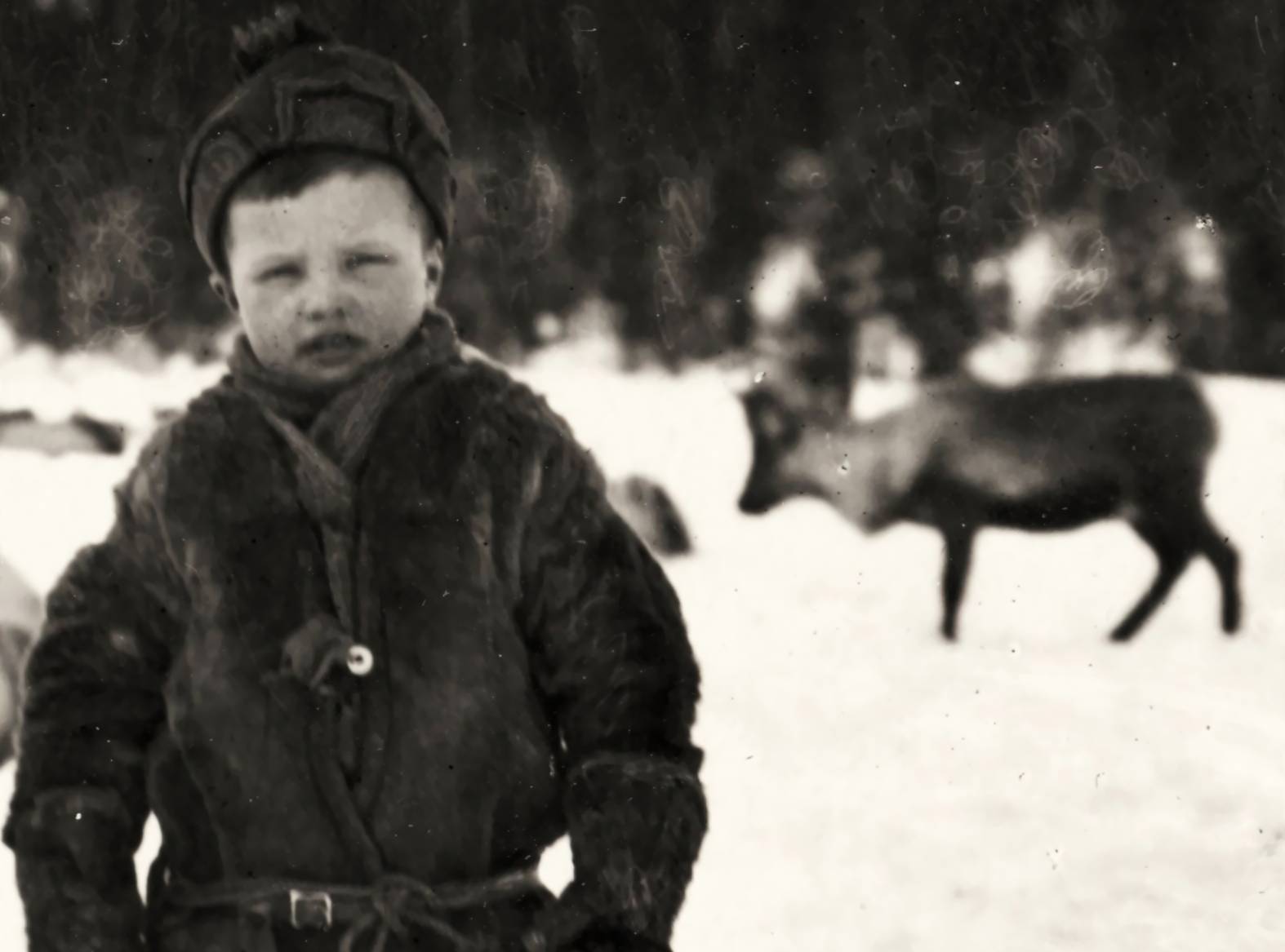 Sami Child  and reindeer