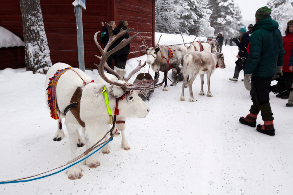 tourists in sami village