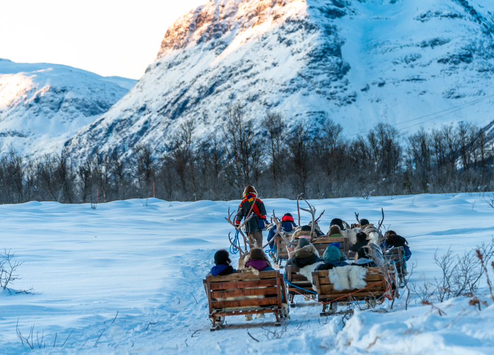 Sami guide with tourists