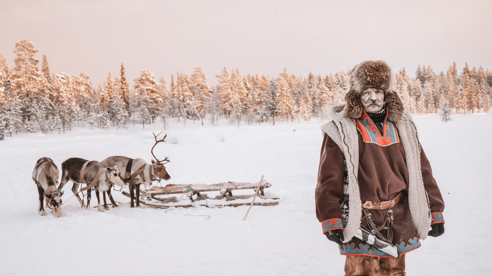 Unidentified Sami man with arctic reindeer