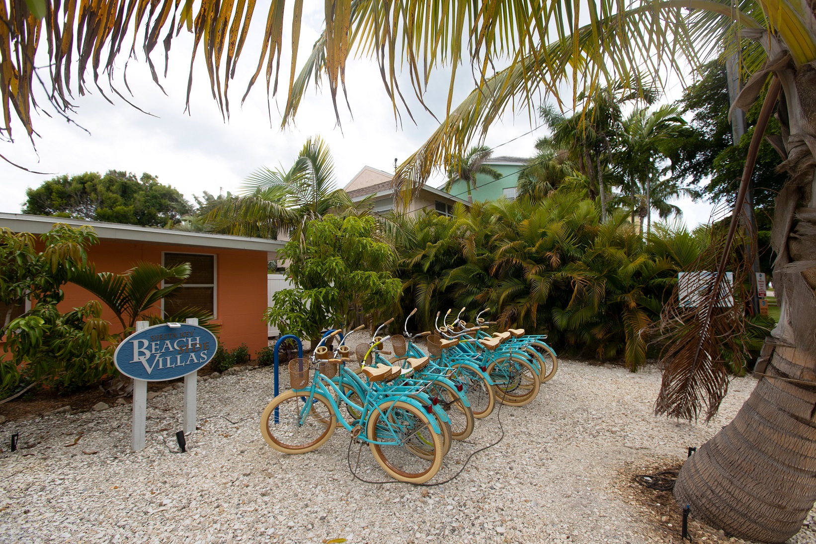 Rental bikes parked at a beach hotel in Siesta Key, USA.
