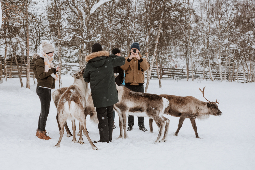 Tourists   in a Sami village
