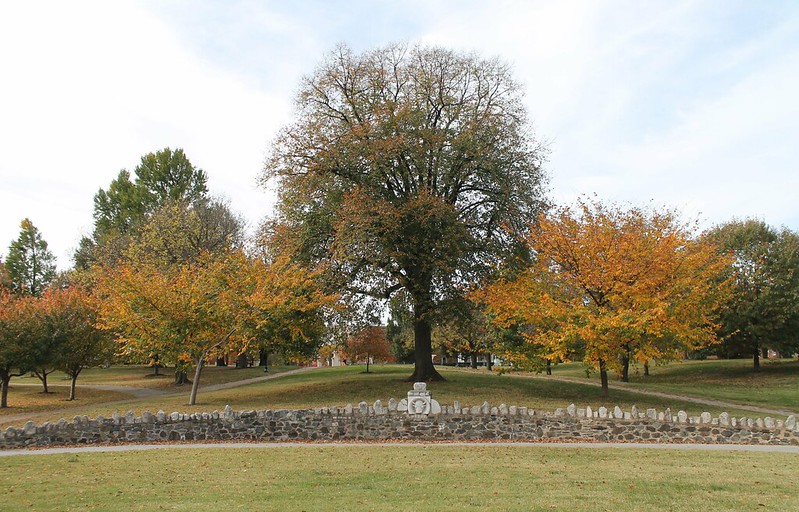 image from Patterson Park