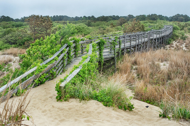 image of First Landing State Park