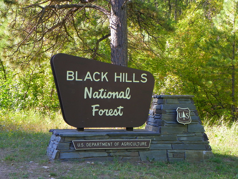 image of Entering Black Hills National Forest