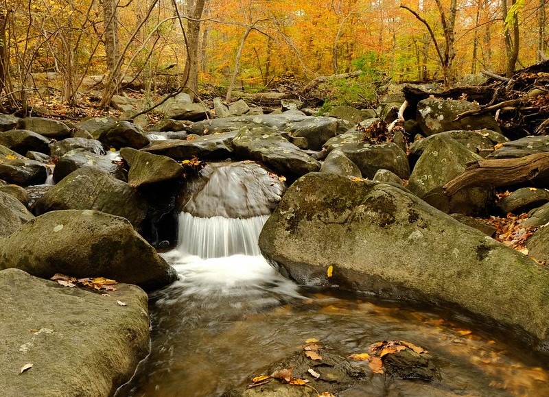 image of Alapocas Run State Park