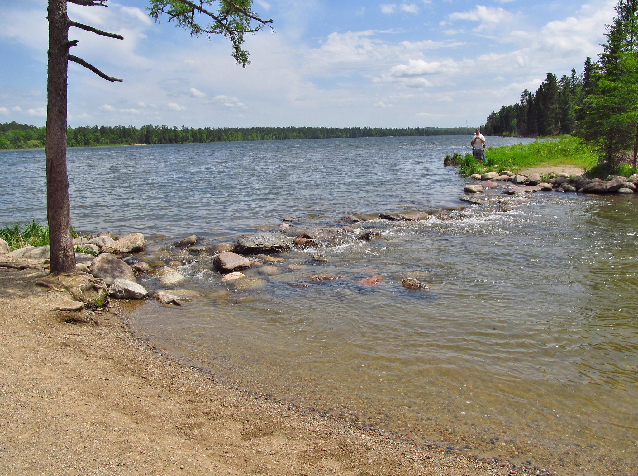 Mississippi Headwaters at Lake Itasca