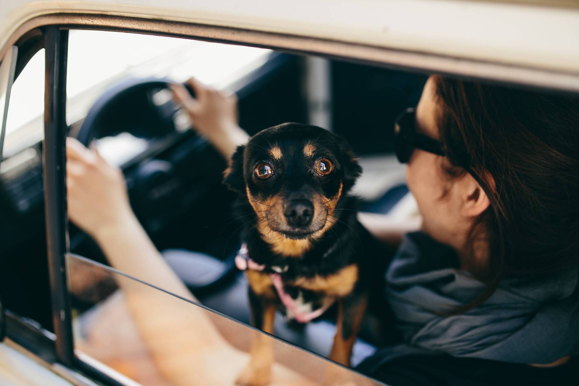 Woman traveling with her dog