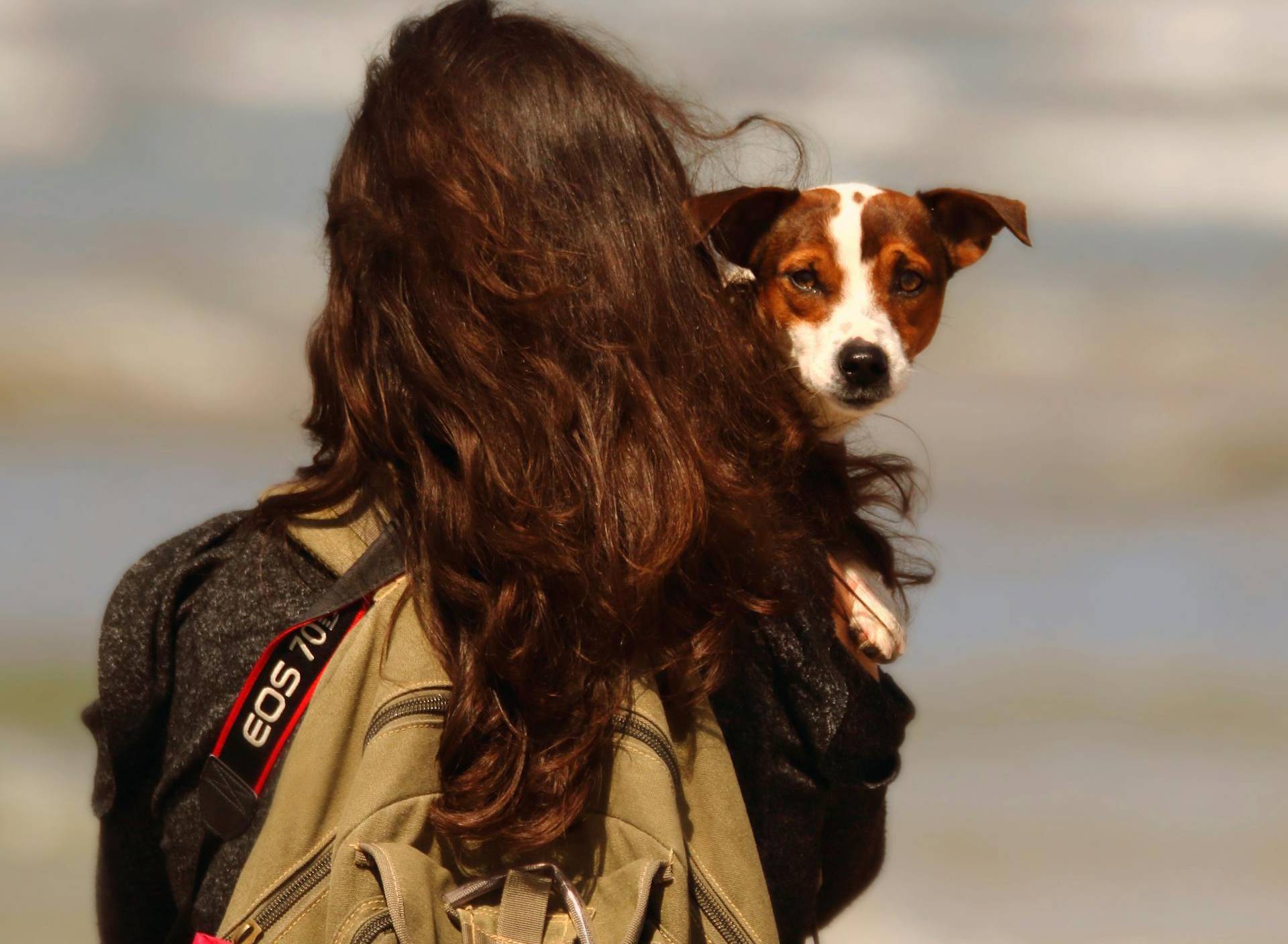 Woman traveling with her dog