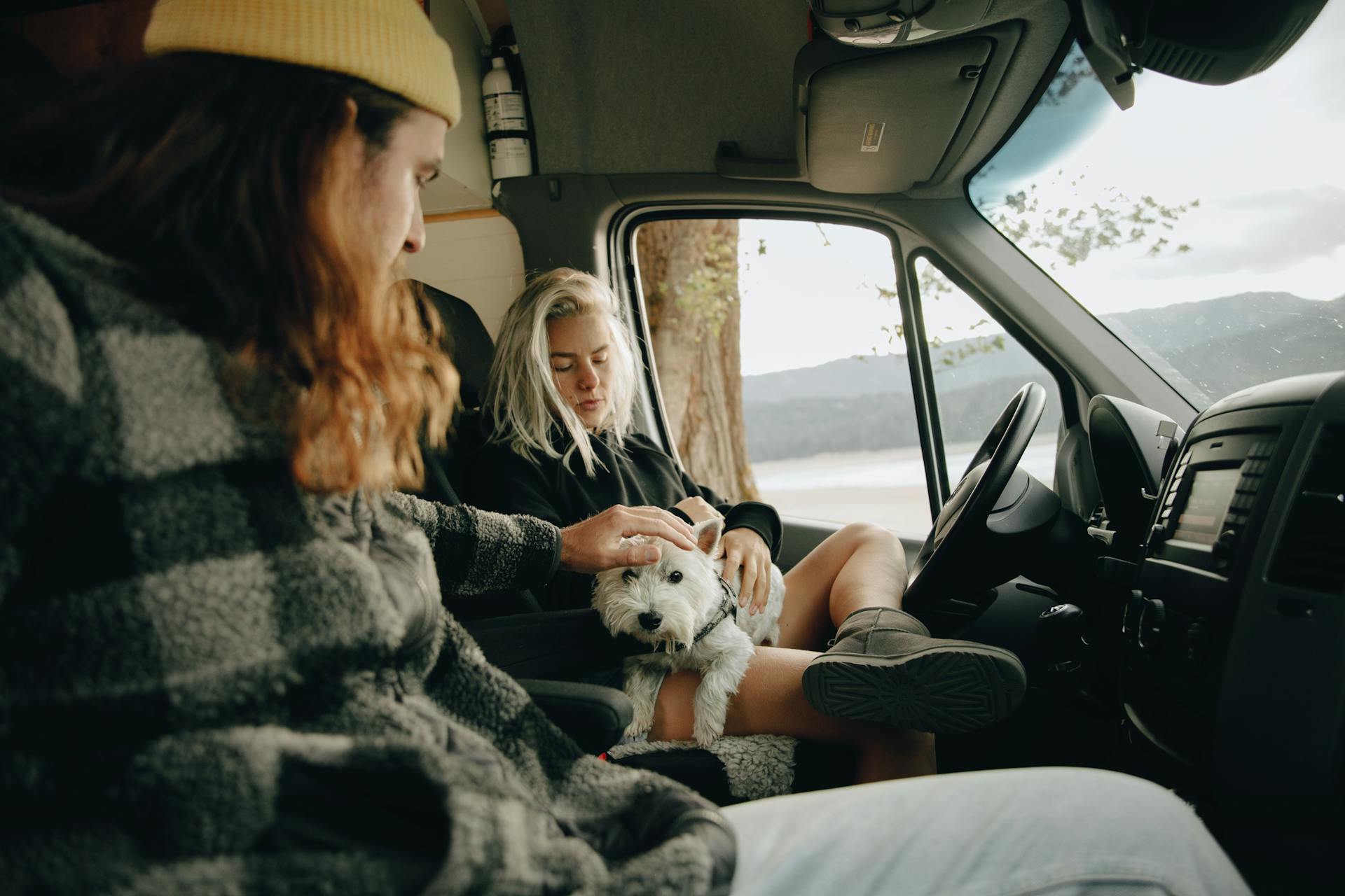 Couple traveling by a car with their dog