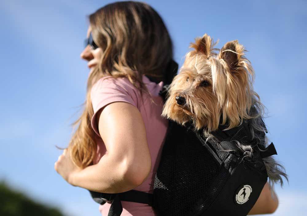 Ruffit Dog Carrier