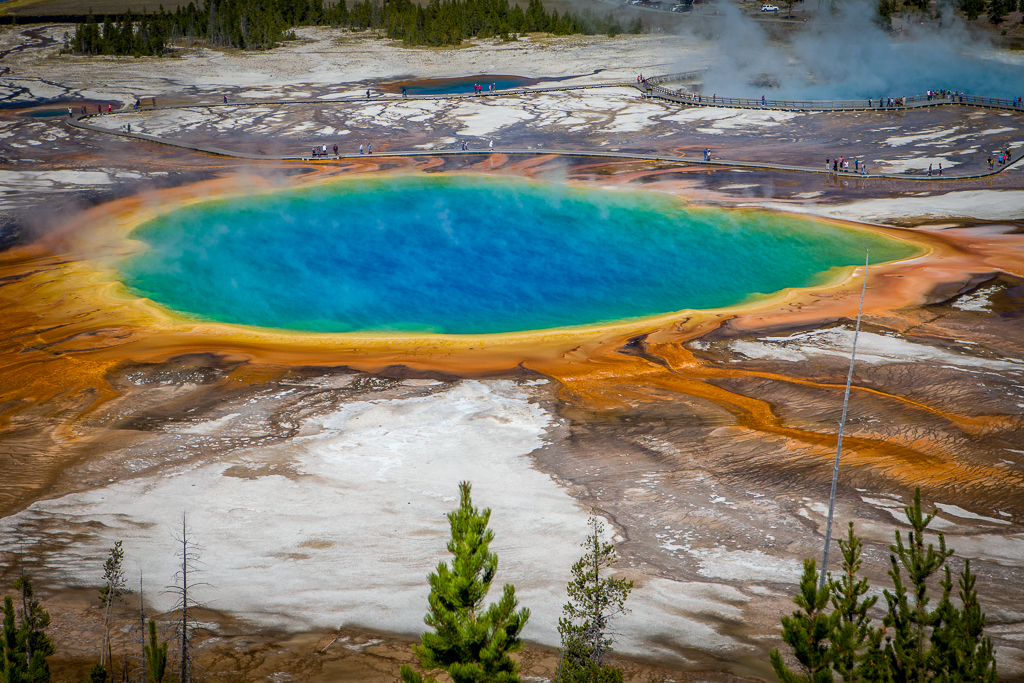 The Grand Prismatic Spring, Montana