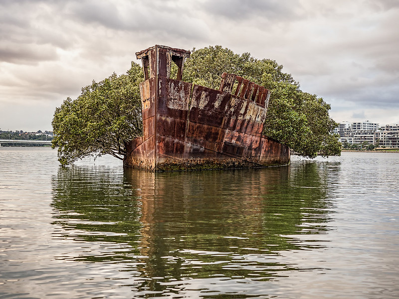 The remains of the SS Ayrfield in Homebush Bay, Sydney, Australia.