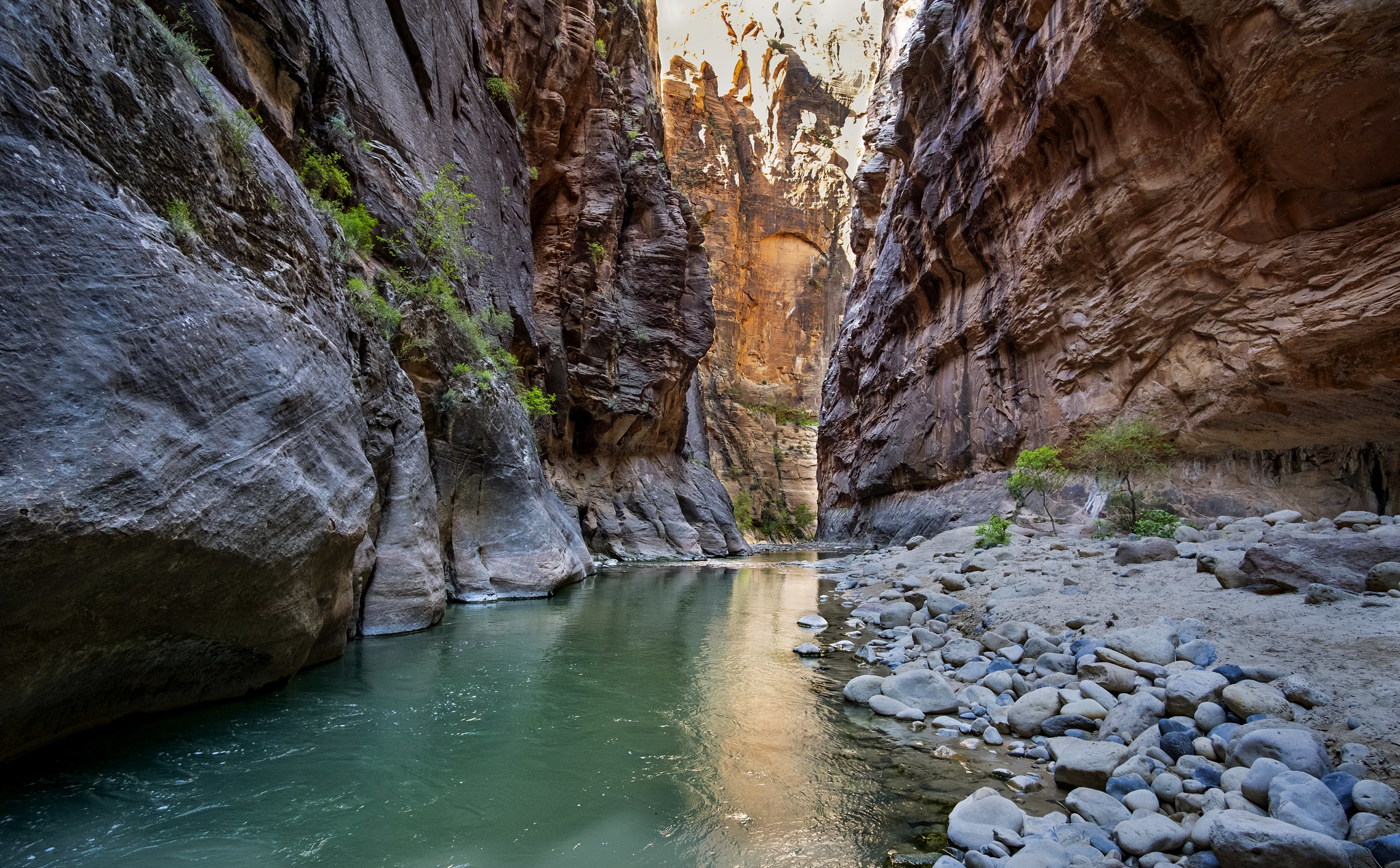 The Narrows, Zion National Park