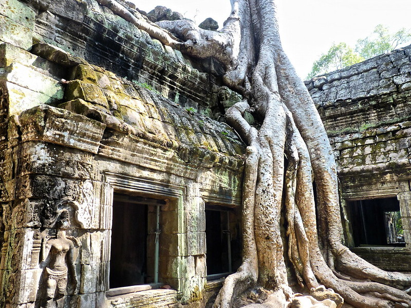 Ta Prohm, Buddhist temple in Siem Reap, Cambodia.