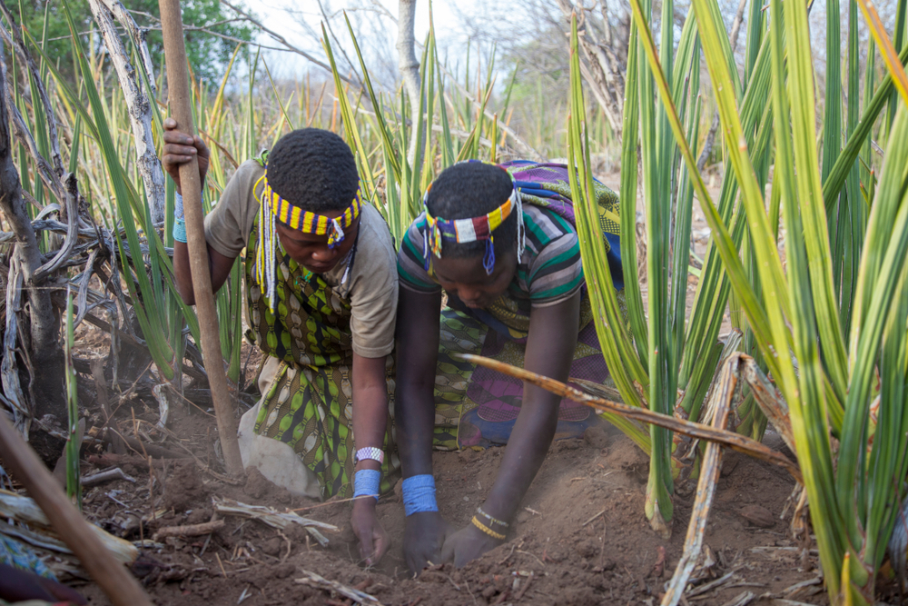 hadza people