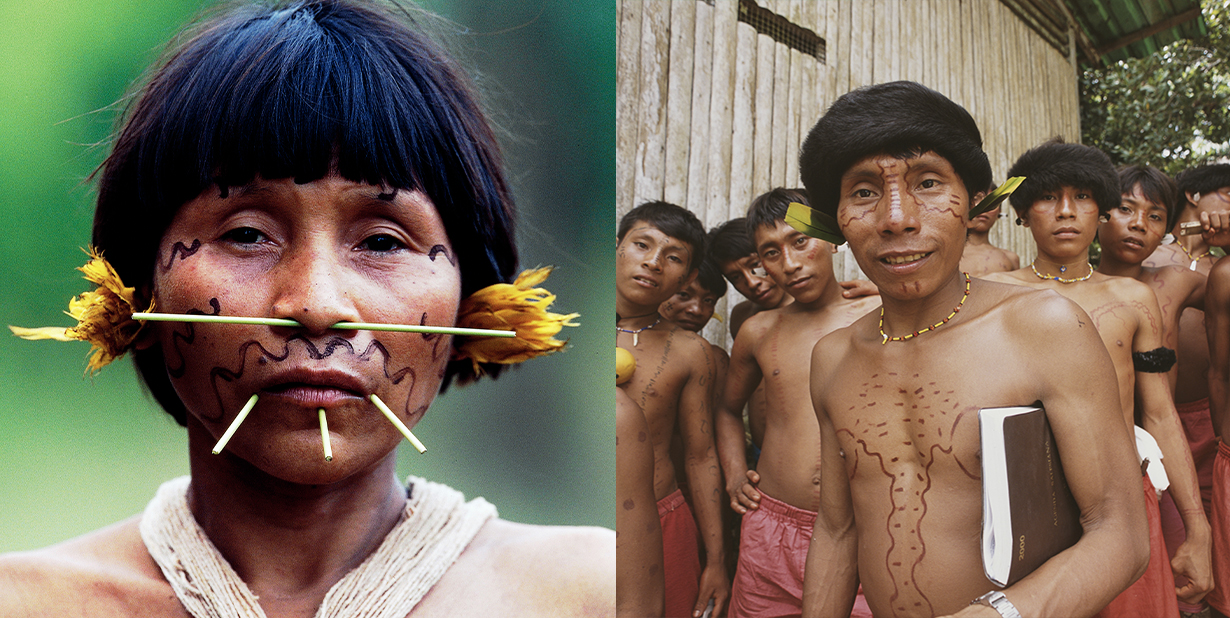 Yanomami-Msn2