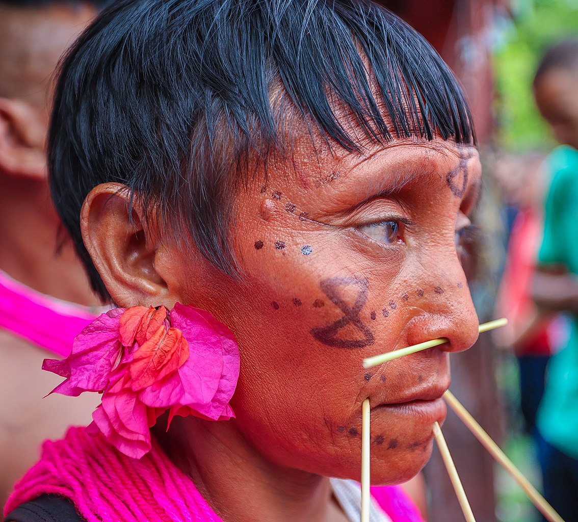 Profile Photo of Yanomami man with traditional look